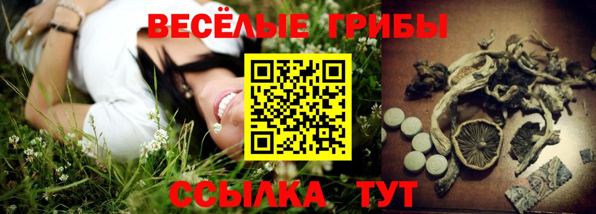 Галлюциногенные грибы прущие грибы  Псилоцибиновые грибы Psilocybe  Валуйки  Вход с VPN 